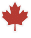 Red maple leaf