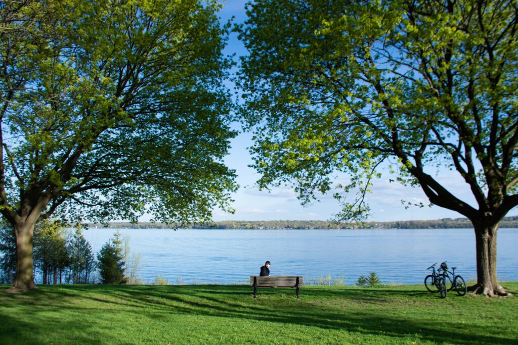 View of lakeshore with green grass and big tall green trees framing the lake